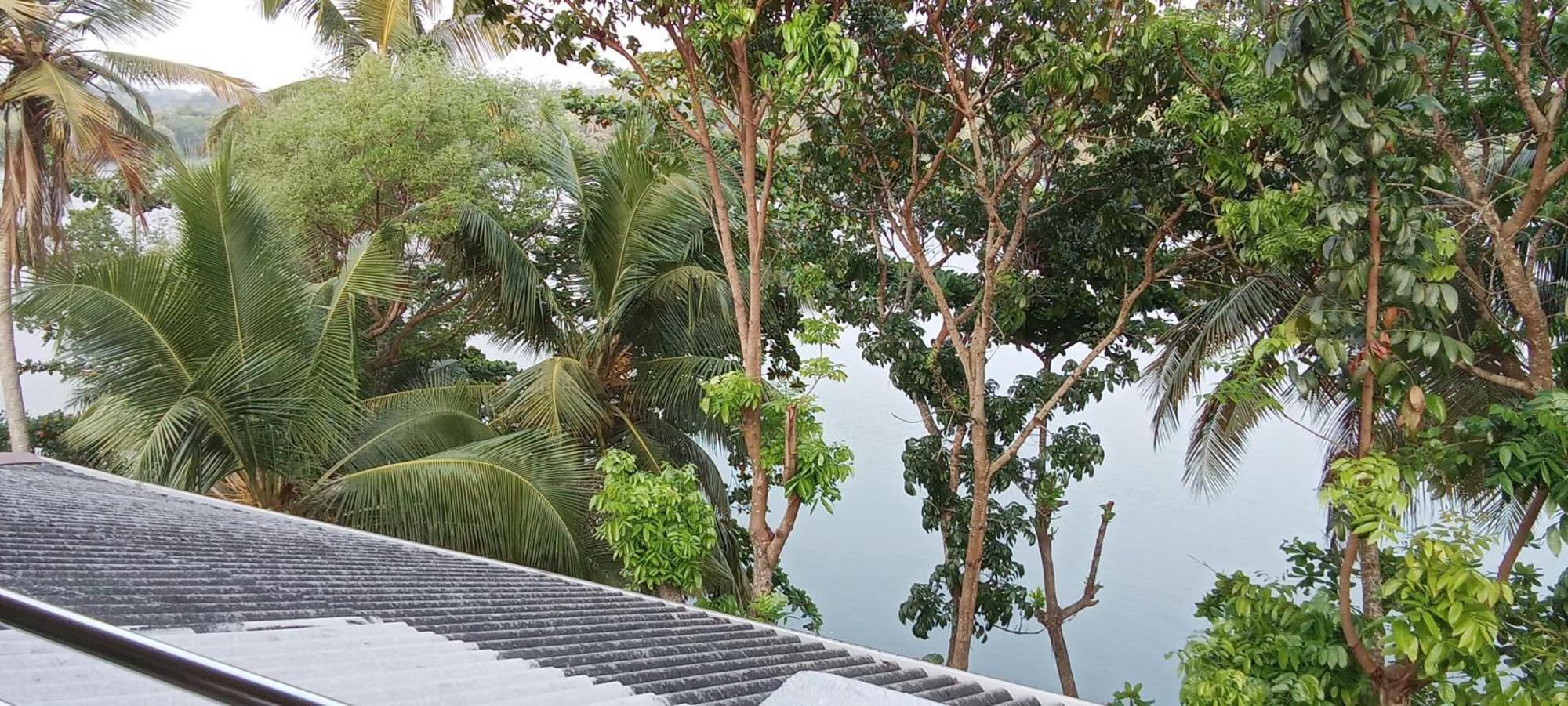 The Green Lagoon Villa Хиккадува Экстерьер фото